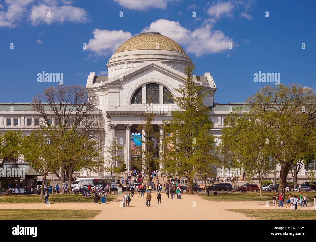WASHINGTON, DC, Estados Unidos - Museo Smithsonian de Historia Natural. Foto de stock