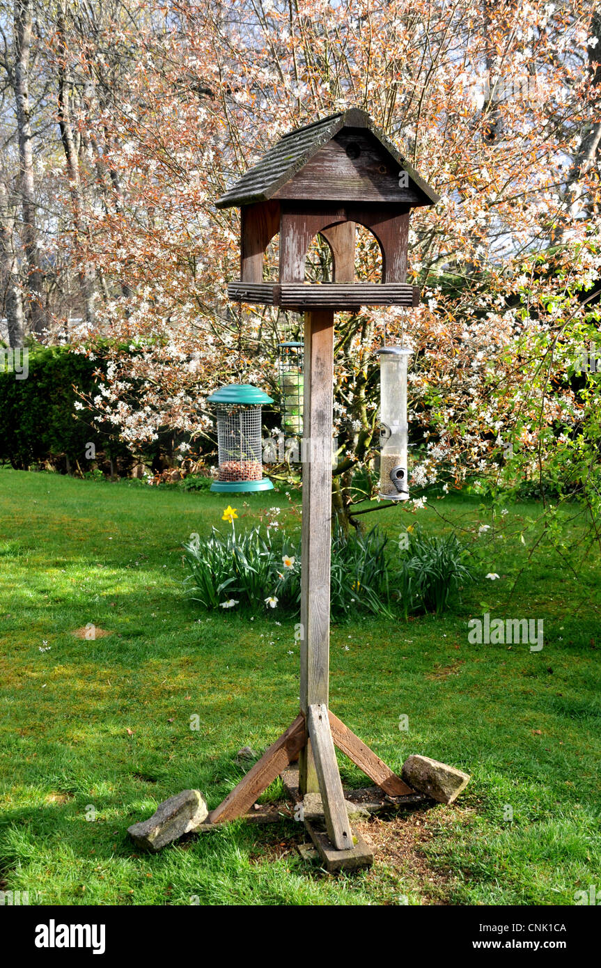 Una casita para aves de madera con colgante comederos en una jardín con árboles en Fotografía stock - Alamy
