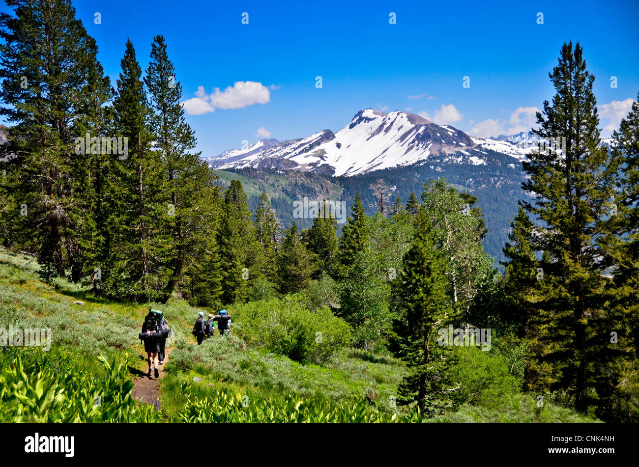 Ansel Adams Wilderness, CA, EE.UU., Pacific Crest Trail a Agnew Meadows (MR) Foto de stock