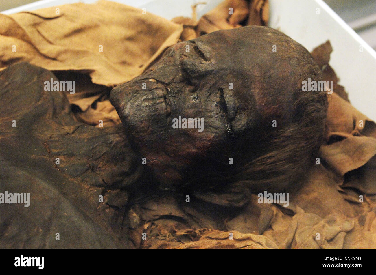 La momia de una mujer no identificada. Fecha alrededor del 700 AC. Tercer Periodo Intermedio Tardío. Probablemente, de Tebas. Detalle. Foto de stock