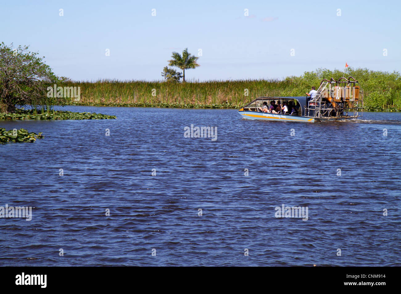 Fort Ft. Lauderdale Florida, Everglades Wildlife Management Area, Everglades Holiday Park, paseo en hidrodeslizador cubierto, agua, césped, jamaicense de Cladium, Nuphar Foto de stock