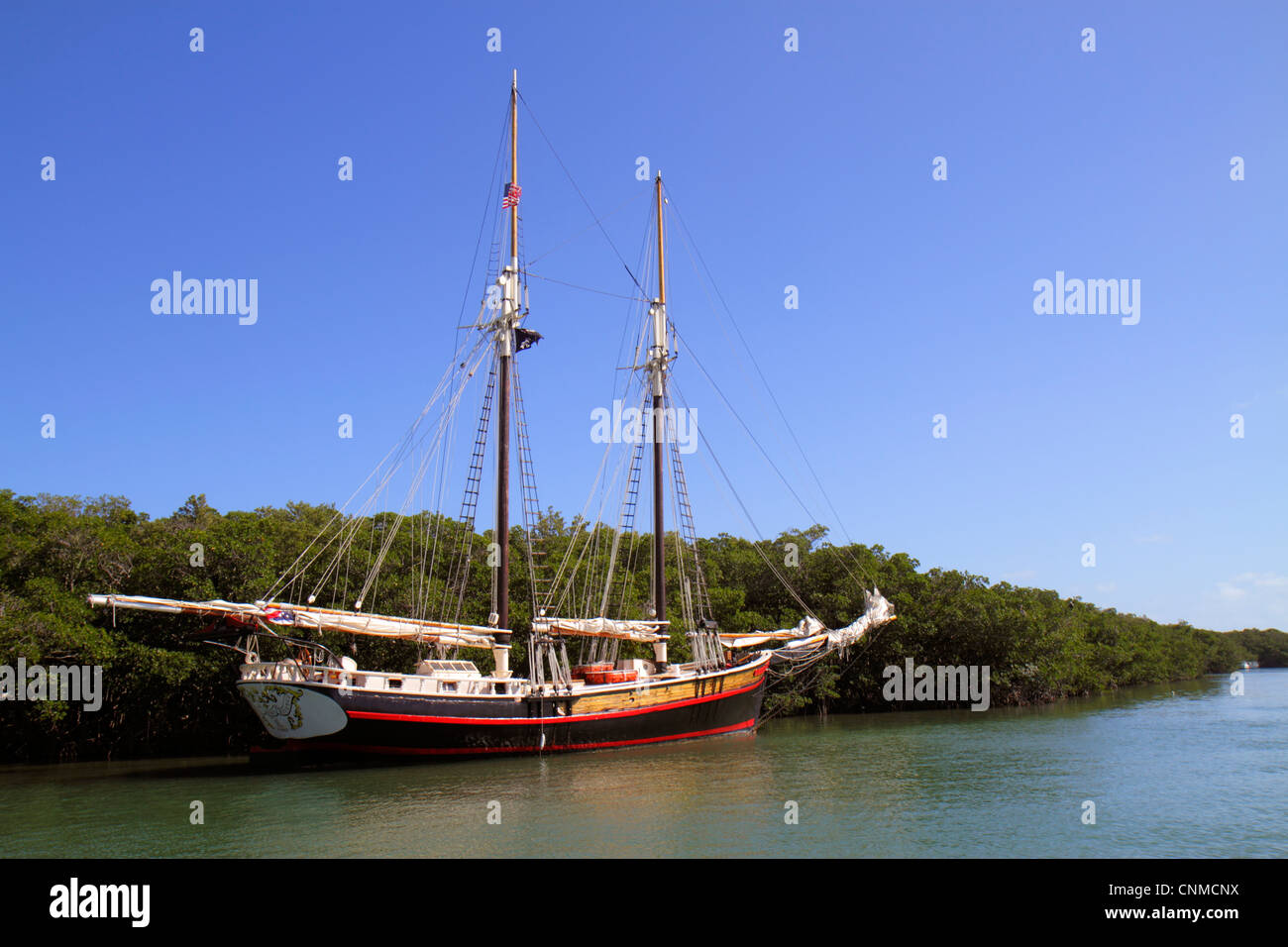 Florida Upper Key Largo Florida Keys, Blackwater Sound, Florida Bay, Queen Anne's Revenge, barco pirata, manglar, FL120331076 Foto de stock