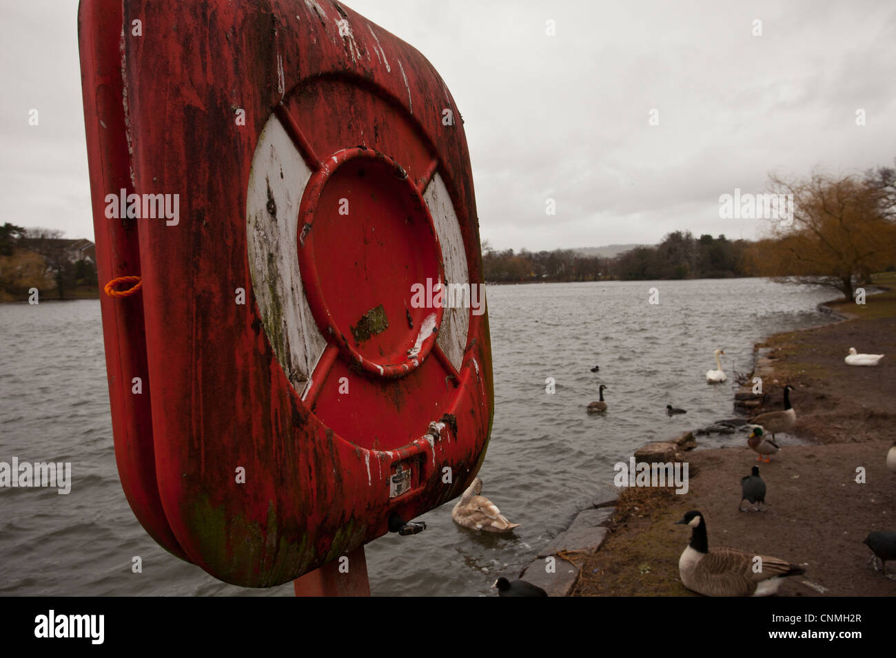 Anillo de vida en un lago con embarcadero, salvavidas utilizados por posados pájaros cubiertos de excrementos de las aves. Foto de stock