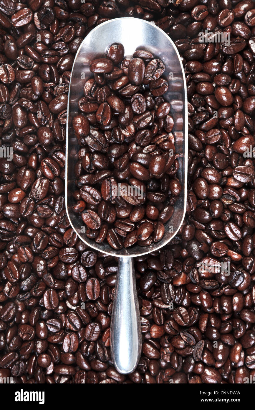 Foto de una cuchara de metal con asado de granos de café arábica y robusta de mezcla. Foto de stock