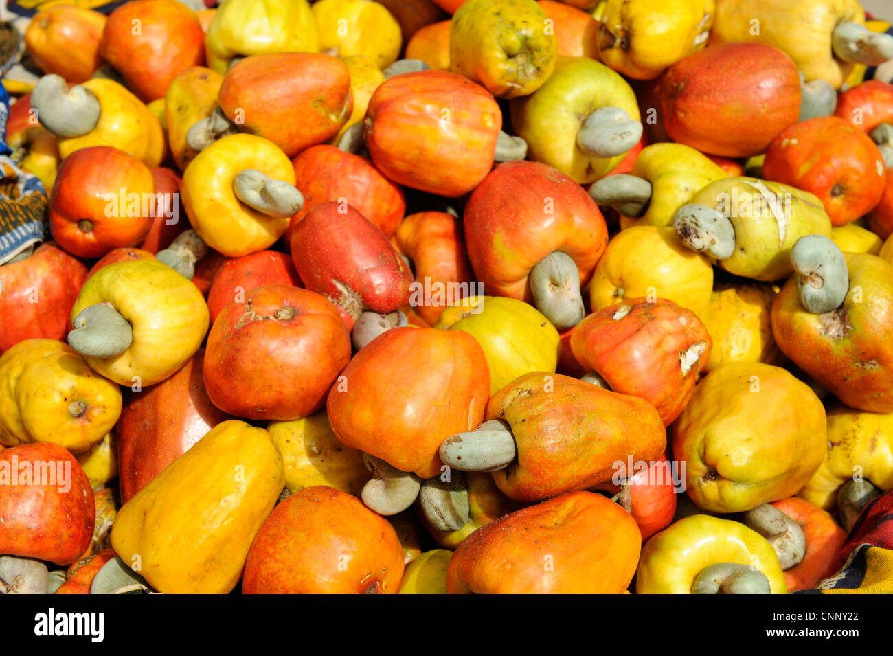 África, Malí, frutas con nueces de anacardo en el mercado Fotografía de ...