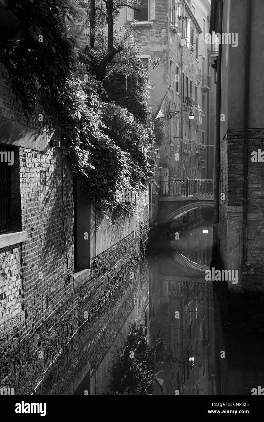 La luz de la mañana temprano en el Rio della Toletta, Venecia Foto de stock