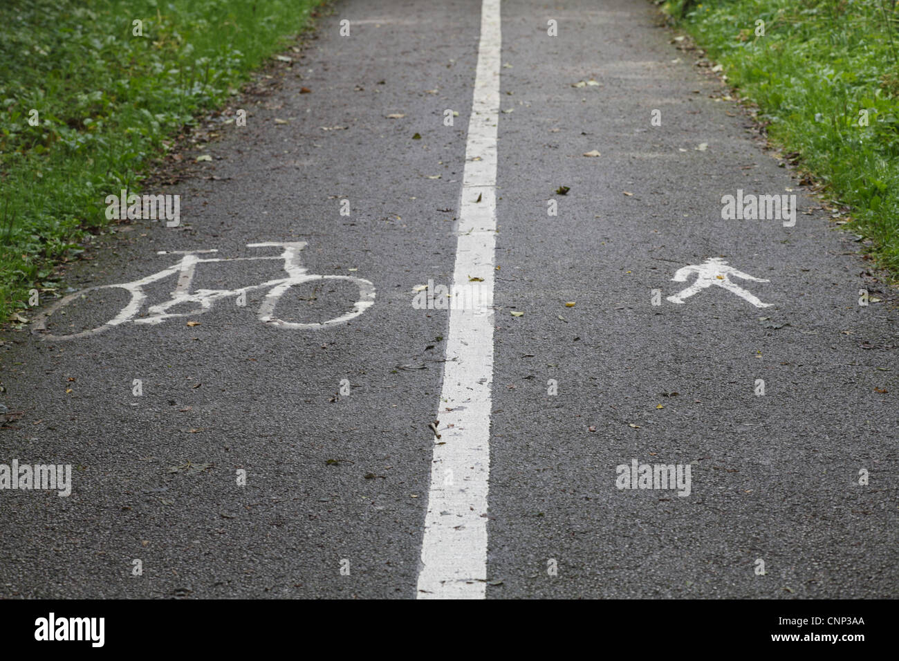 Divide el ciclo y una pista de caminata con letreros pintados, Morecambe, Lancashire. Inglaterra, septiembre Foto de stock