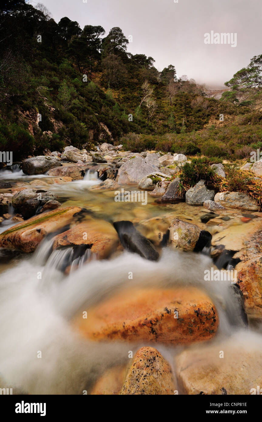 Coloridas rocas y agua fluyendo en la Alt una Chuirn, Torridon, Wester Ross, Scottish Highlands, Escocia Foto de stock
