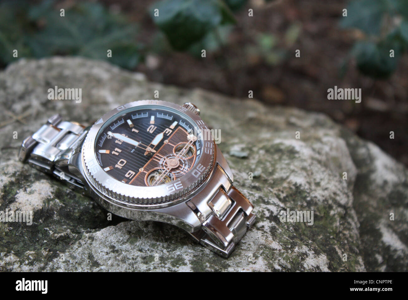 Un elegante reloj de pulsera colocada en un entorno salvaje y extraño extraño con una luz difusa. Foto de stock