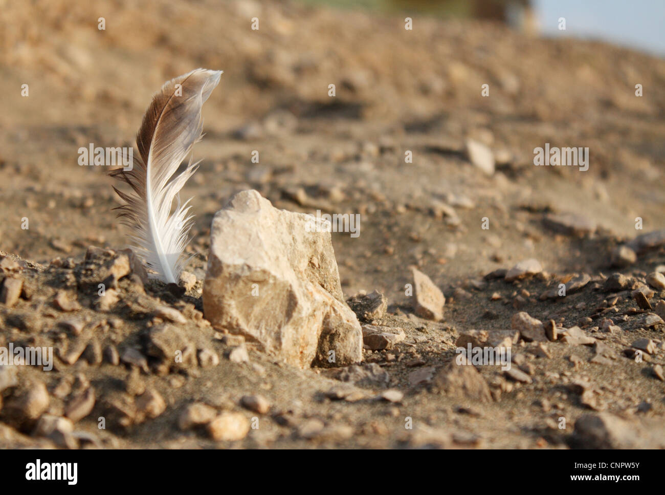 Una imagen con alto contraste visual y sensorial de un padre en la arena y piedras en la hora dorada. Foto de stock