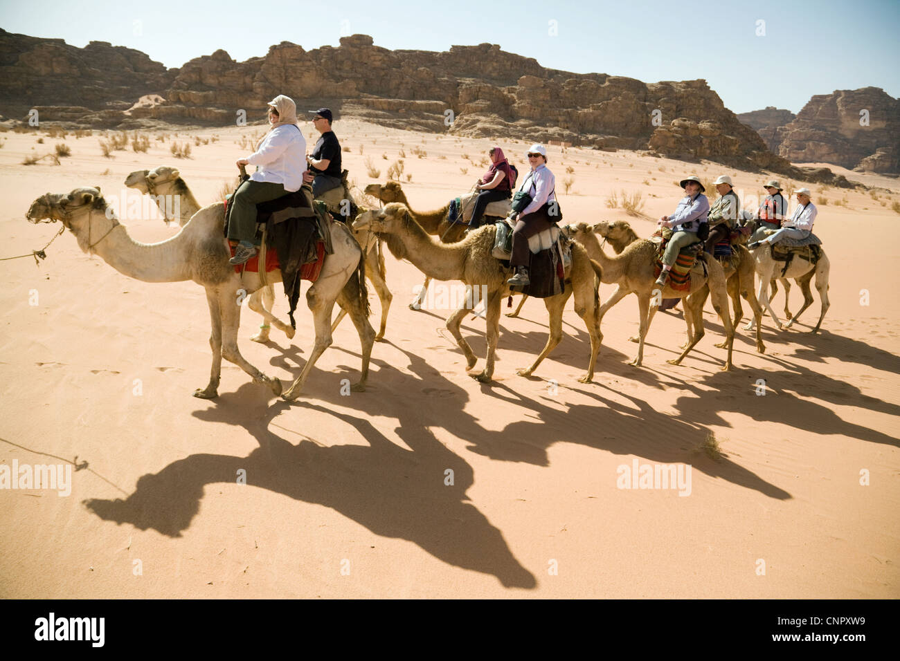Jordania turistas; las personas de mediana edad montar camellos en el desierto de Wadi Rum, Jordania Oriente Medio Foto de stock