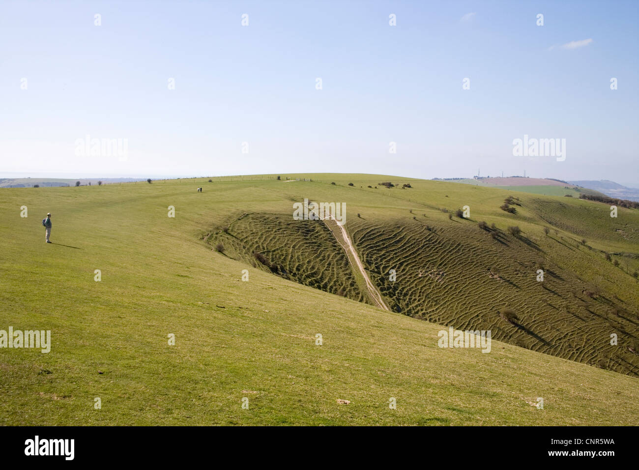 Camino al sur hacia abajo en los diablos Dyke en West Sussex Foto de stock