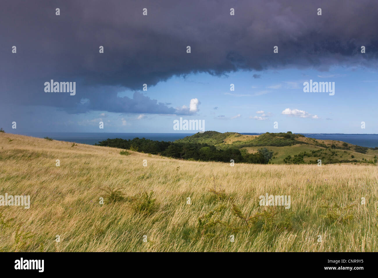 El paisaje costero en la tormentosa atmósfera, Alemania, en el Estado federado de Mecklemburgo-Pomerania Occidental, Hiddensee Foto de stock