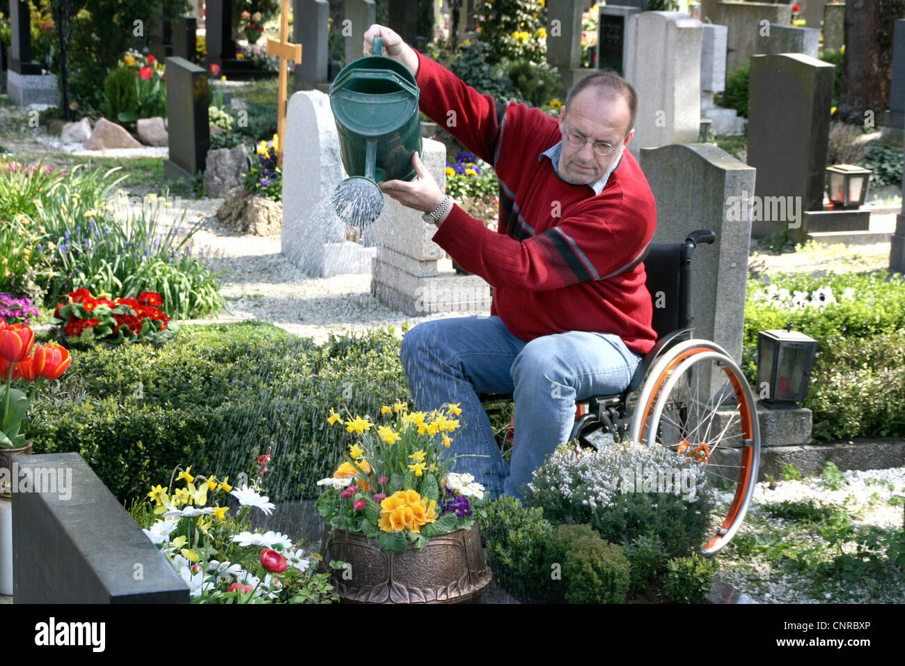 Hombre en una silla de ruedas, ducharse, plantas en el cementerio  Fotografía de stock - Alamy
