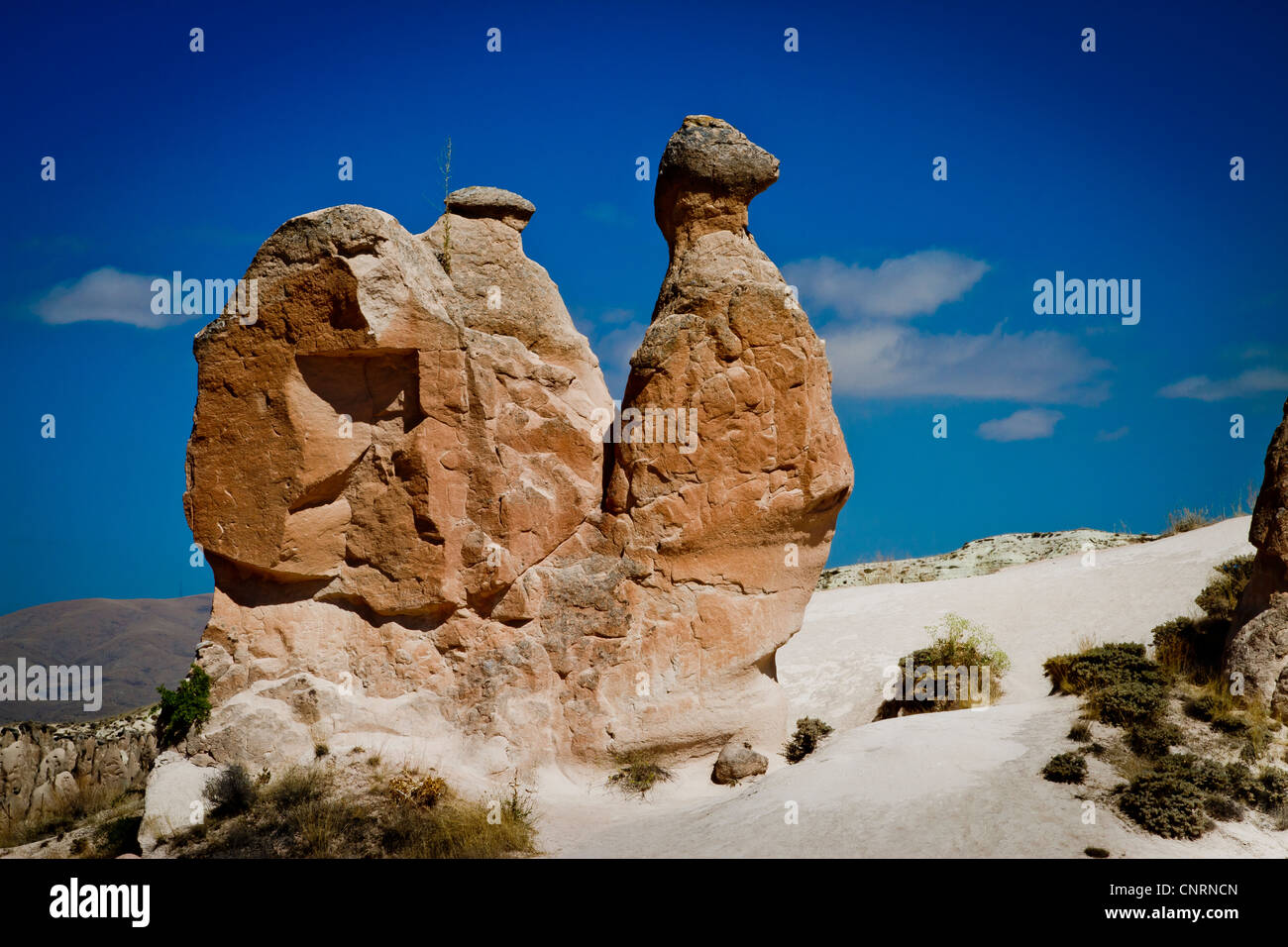 Valle de Devrent y chimeneas de hadas en Capadocia, Turquía. Devrent Valley  es uno de los lugares turísticos más populares de Capadocia. Roca en forma  de camello Fotografía de stock - Alamy
