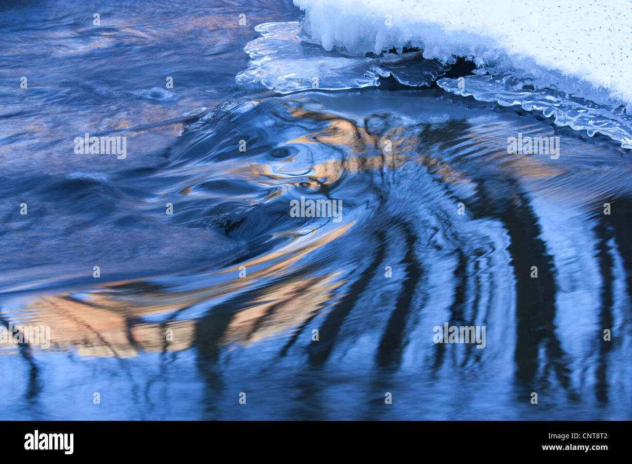 Cubiertas de nieve paisaje fluvial reflejado en el agua, Alemania, Sajonia, Vogtlaendische Schweiz Foto de stock