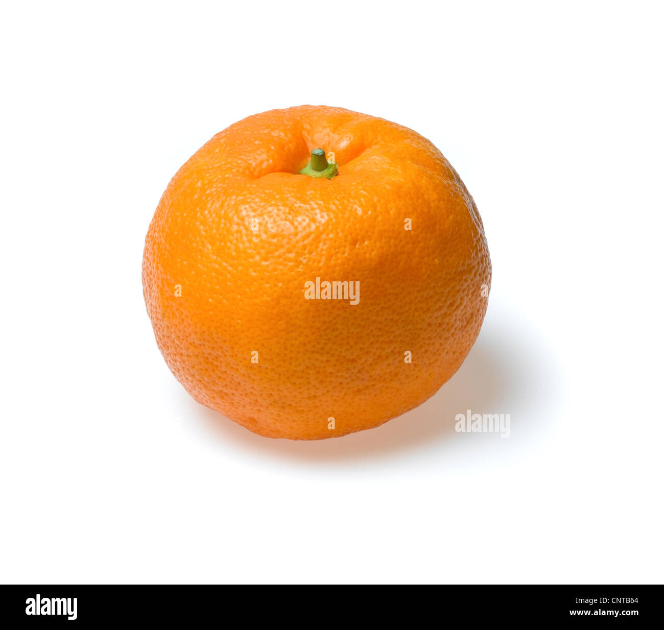 Las naranjas de sevilla Foto de stock