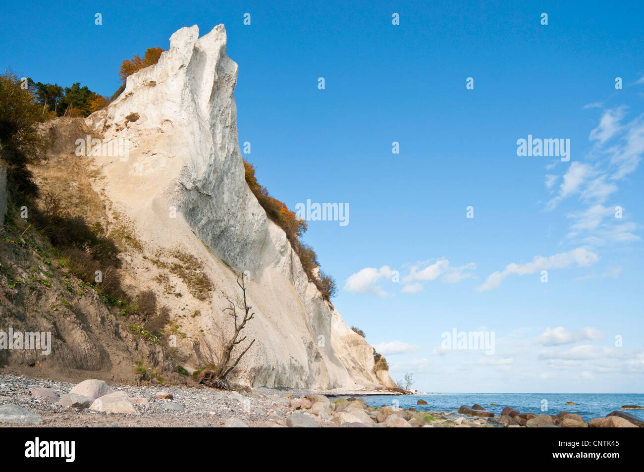 Chalk acantilado en la isla de Moen, Dinamarca, Moen Foto de stock