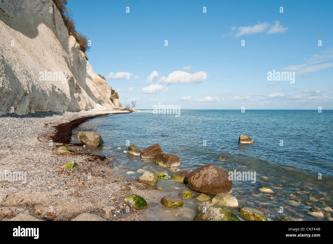 Chalk cliff y costa en la isla de Moen, Dinamarca, Moen Foto de stock