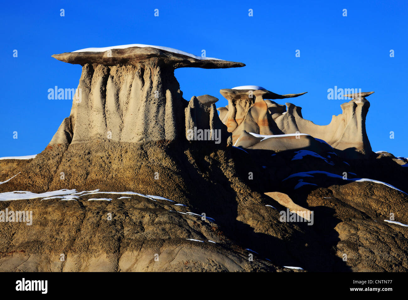 Bisti Badlands, monolito de piedra arenisca, ESTADOS UNIDOS, Nuevo México, Bisti desierto Foto de stock