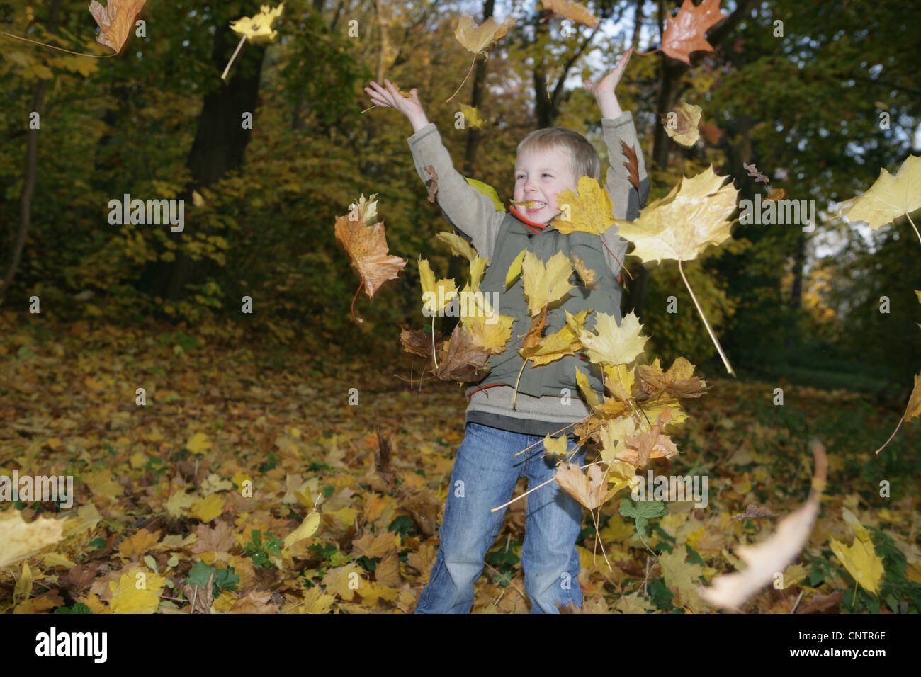 Niño jugando en hojas de otoño Foto de stock