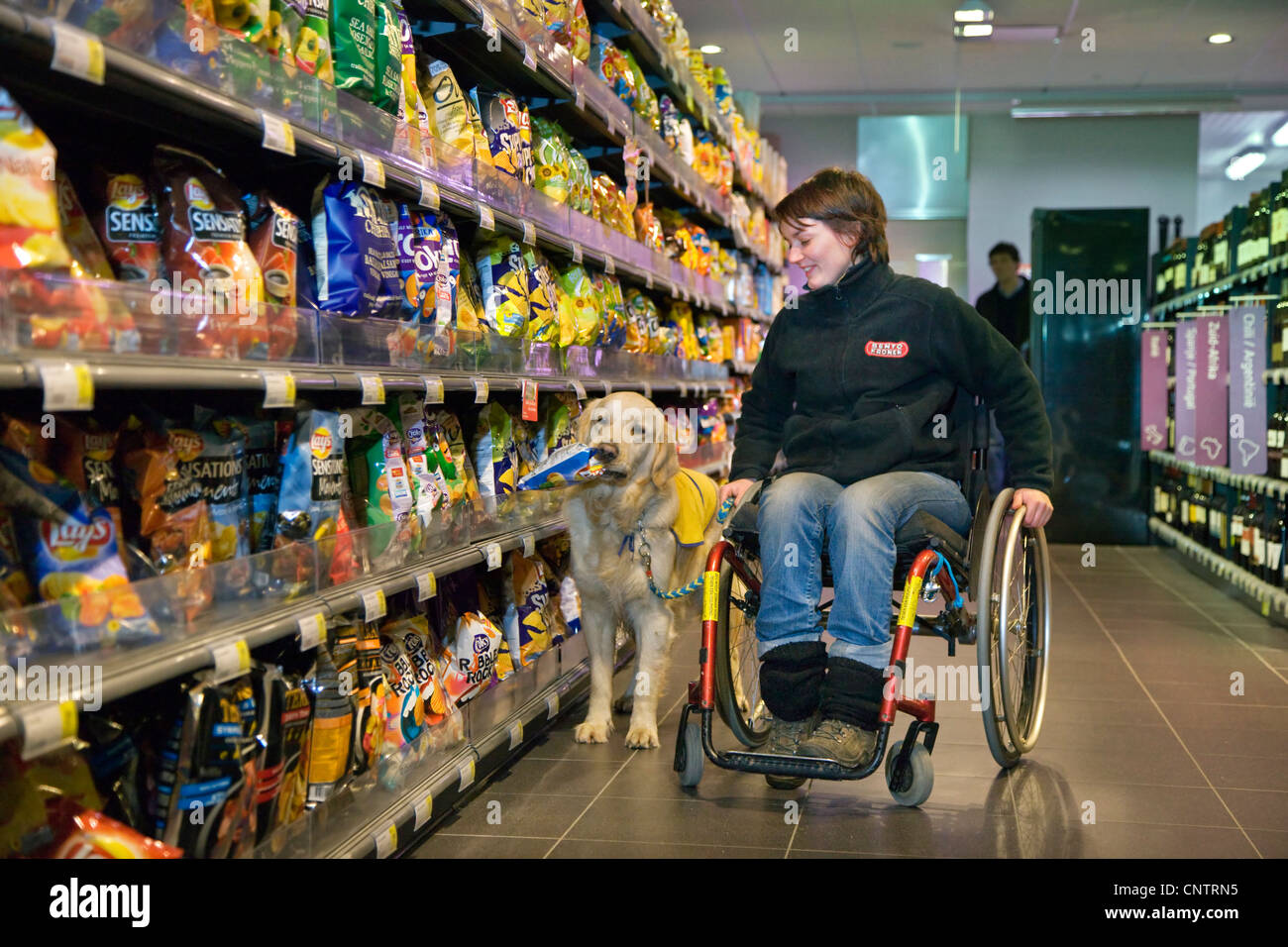 No válido y físicamente discapacitado en silla de ruedas compras con Labrador perro de ayuda de movilidad en el supermercado, Bélgica Foto de stock