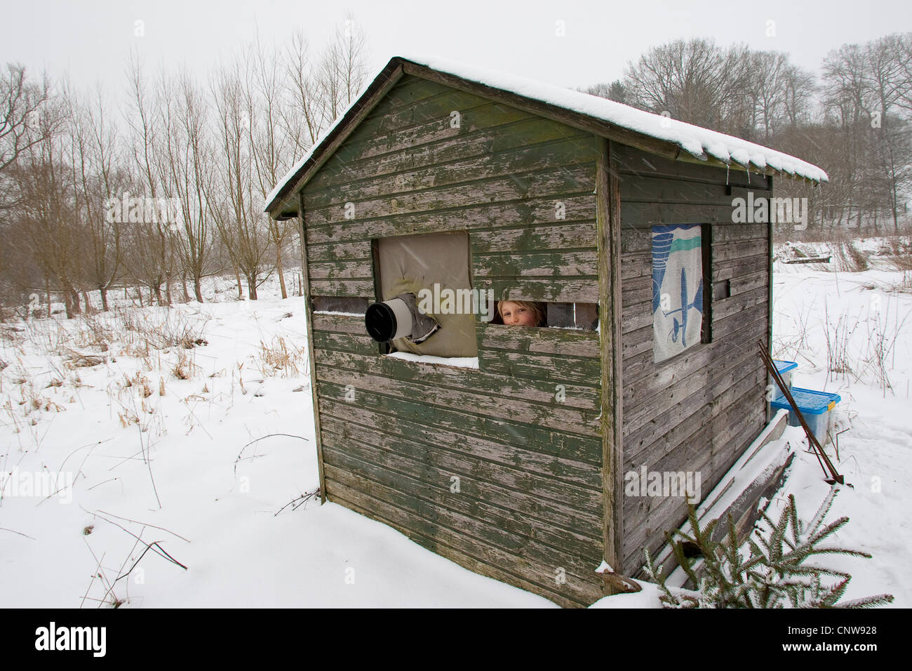 Niño tomando fotografías de camuflaje cabaña en un lugar de alimentación de invierno, Alemania Foto de stock