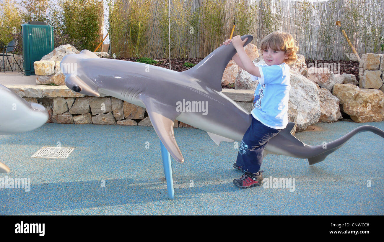 martillo común, tiburón martillo (Sphyrna zygaena Zygaena, martillo), Little Boy cabalgando sobre un modelo de tiburón martillo Fotografía de stock -