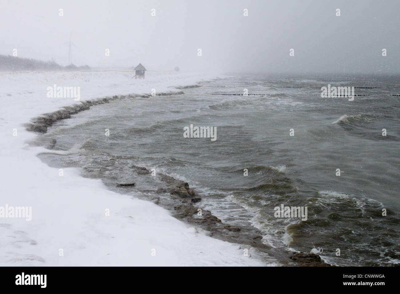 Tormenta de invierno frío en el mar Báltico, en Alemania, en el Estado federado de Mecklemburgo-Pomerania Occidental, Wustrow Darss, Foto de stock