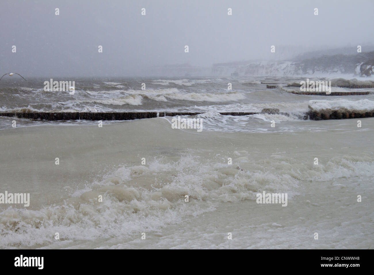 Tormenta de invierno frío en el mar Báltico con diques rectos, en Alemania, en el Estado federado de Mecklemburgo-Pomerania Occidental, Wustrow Darss, Foto de stock