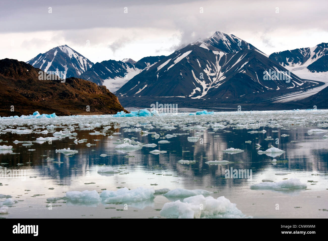 (Kingsbay Kongsfjorden) cubierto de icebergs, Noruega, Svalbard, Kongsfjorden Foto de stock