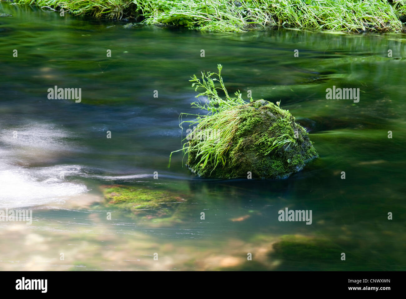 Roca en un arroyo, Alemania, Sajonia, Vogtlaendische Schweiz, Triebtal Foto de stock