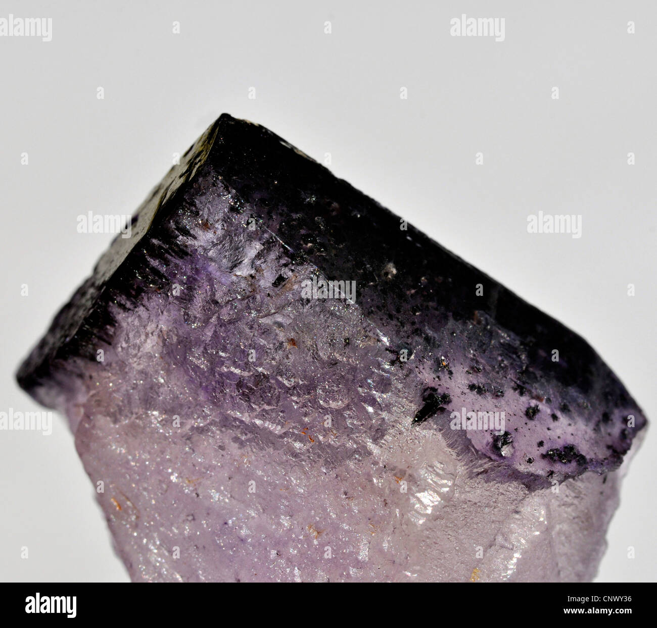 Cristal de fluorita con inclusión de haematite Foto de stock