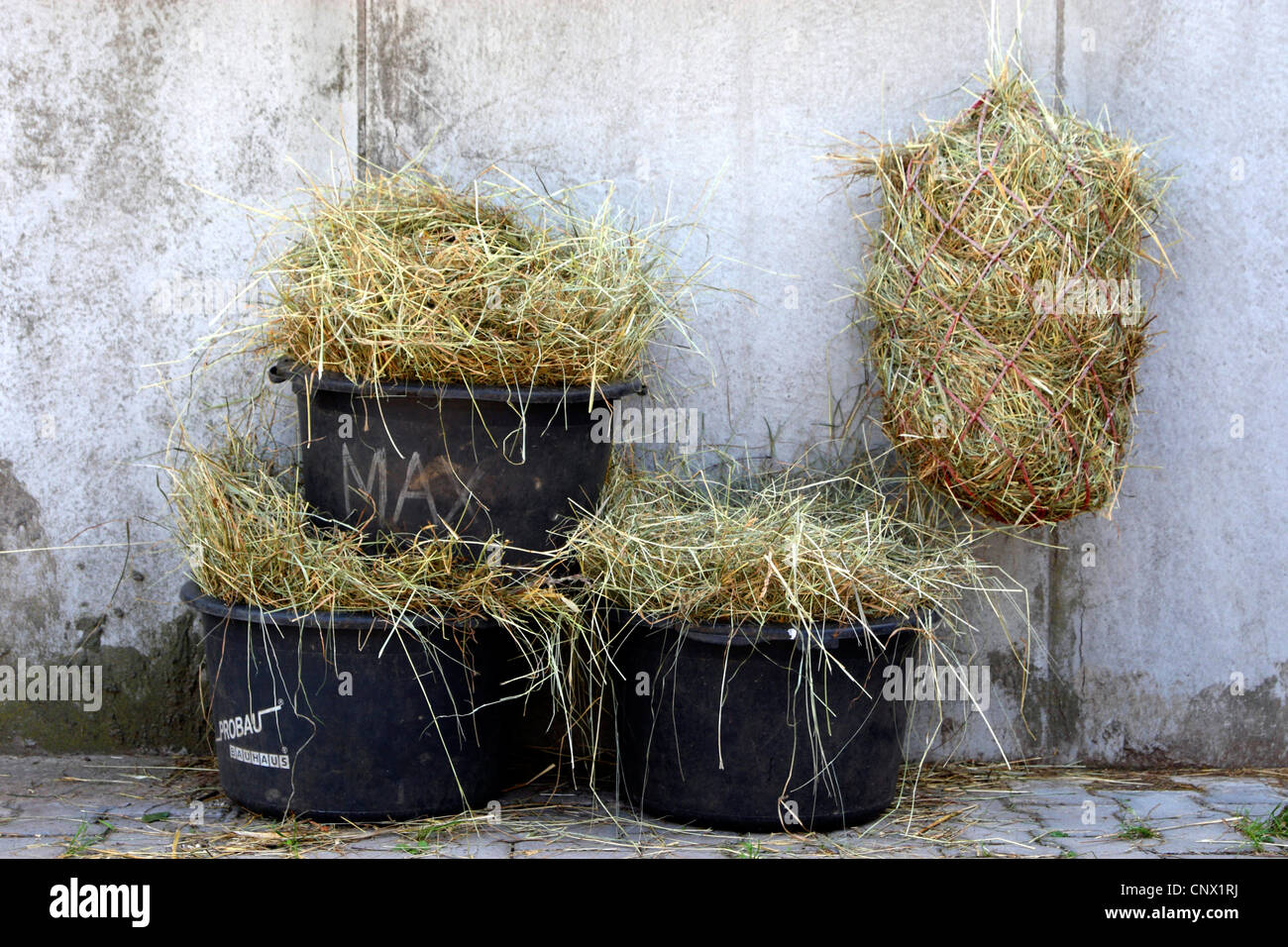 Heno para caballos, Alemania Foto de stock