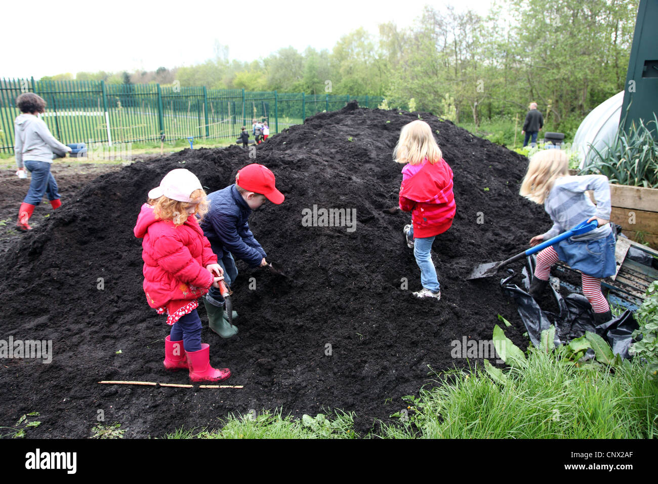 Cuatro de los más jóvenes jardineros crecen en el jardín comunitario de obras sanitarias, Belfast, Irlanda del Norte Foto de stock
