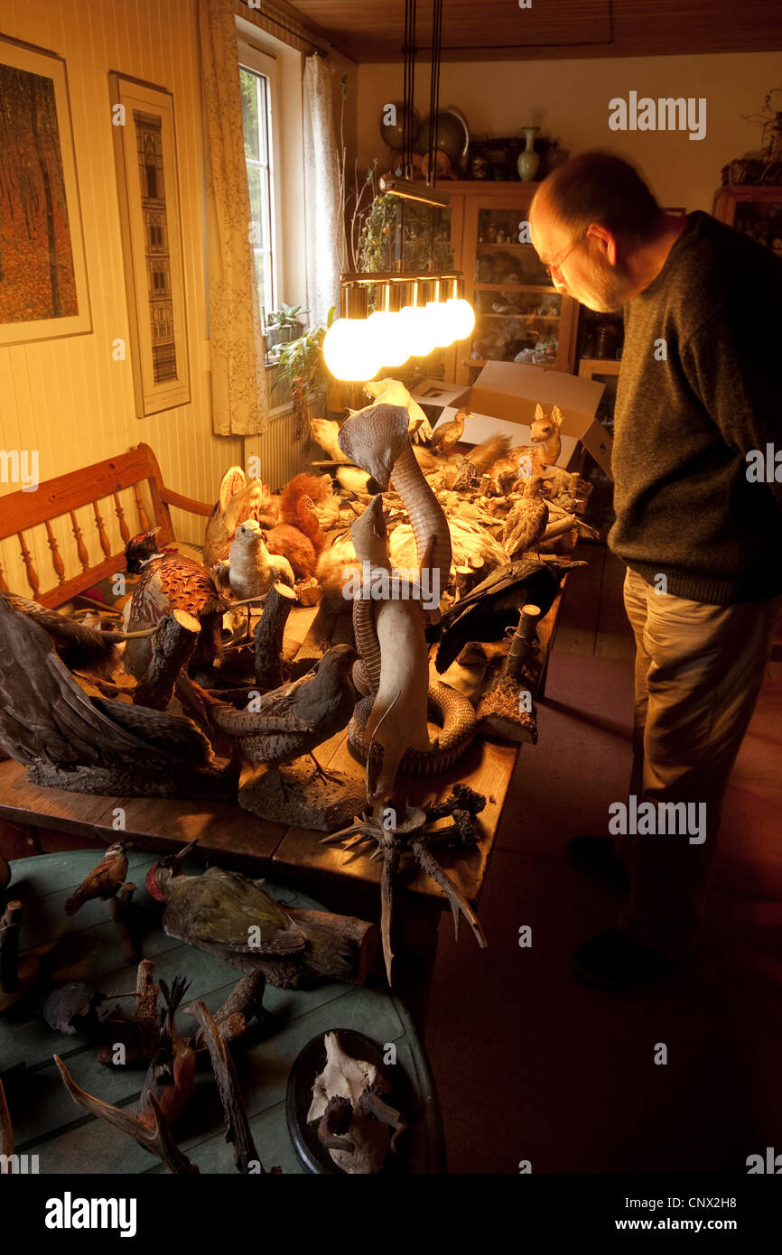 Anciano de pie en una sala en frente de las mesas llenas de animales de peluche y trofeos de caza Foto de stock