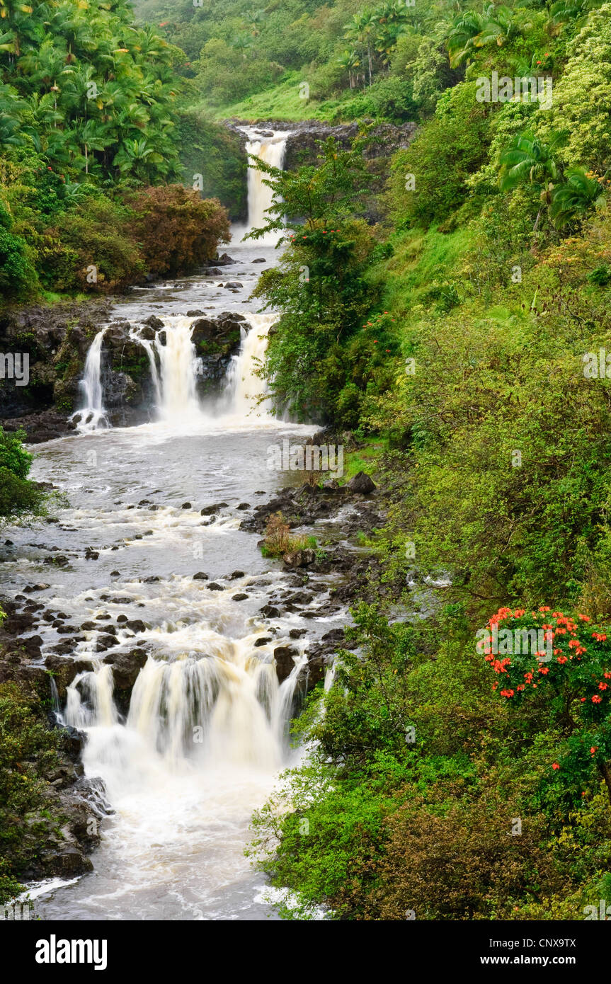 Umauma Falls, Estados Unidos, Hawai, Jardín Botánico, Mundo Hilo Foto de stock