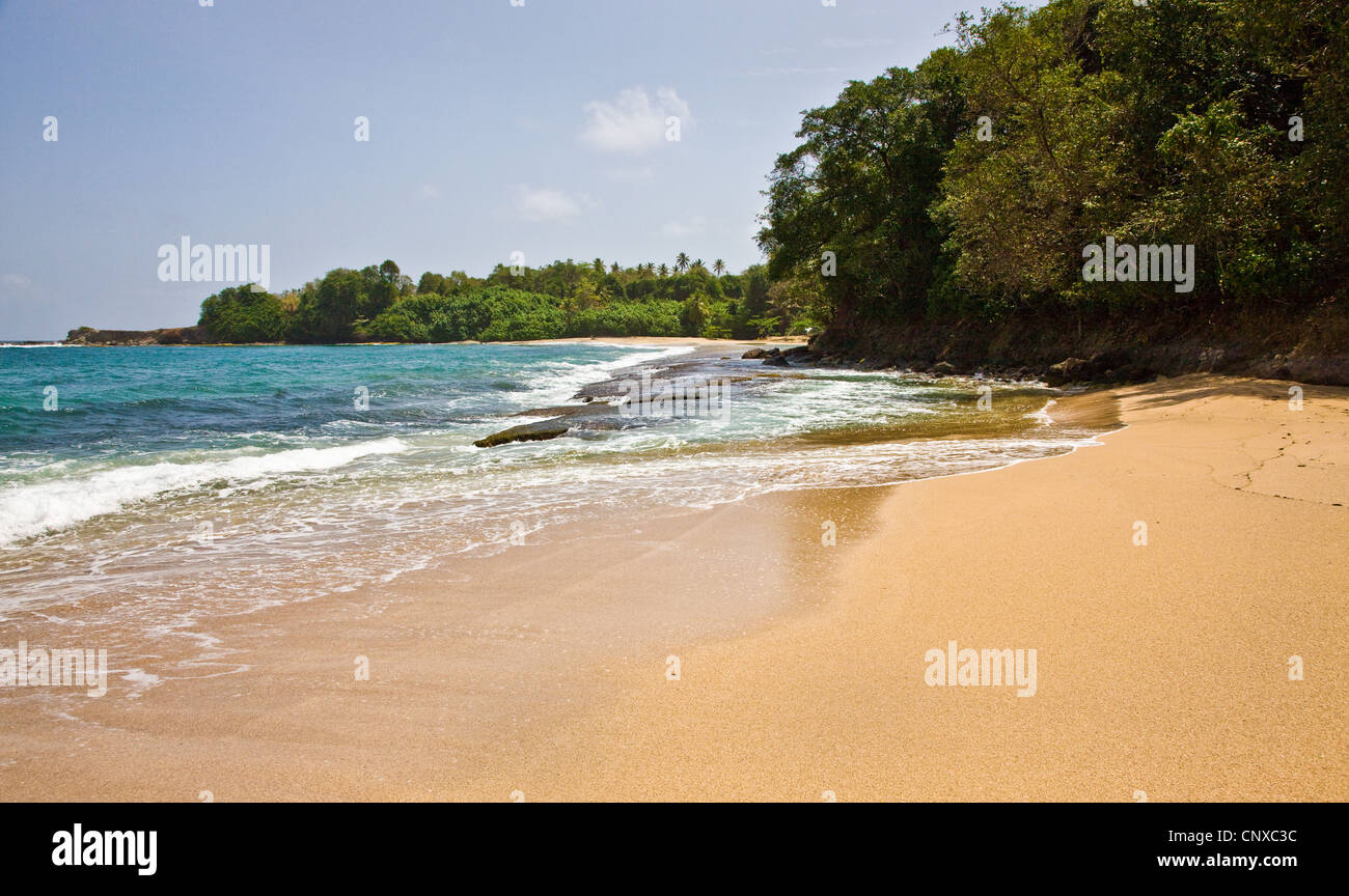 Playa de arena y mar azul en Woodford Hill Bay, en la costa este de Dominica, Indias Occidentales Foto de stock