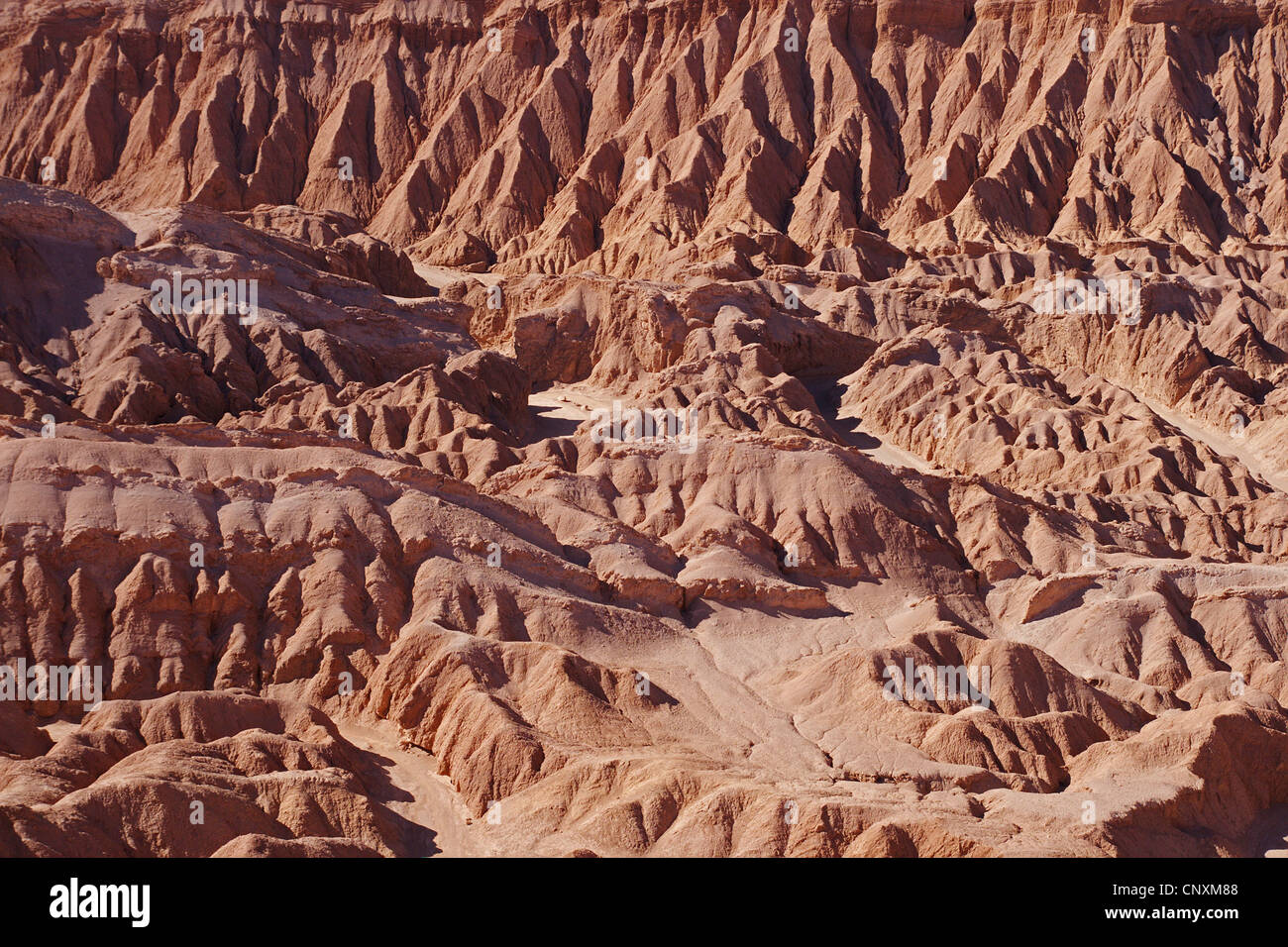 Las formaciones rocosas del valle de la Muerte, Chile, los Andes, el  desierto de Atacama, San Pedro Fotografía de stock - Alamy