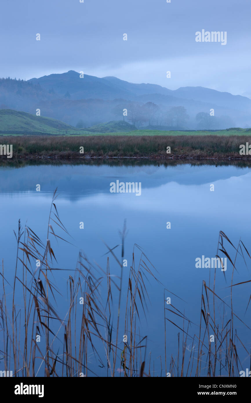 Misty mañana junto al río Brathay, Lake District, Cumbria, Inglaterra. Otoño (noviembre de 2011). Foto de stock