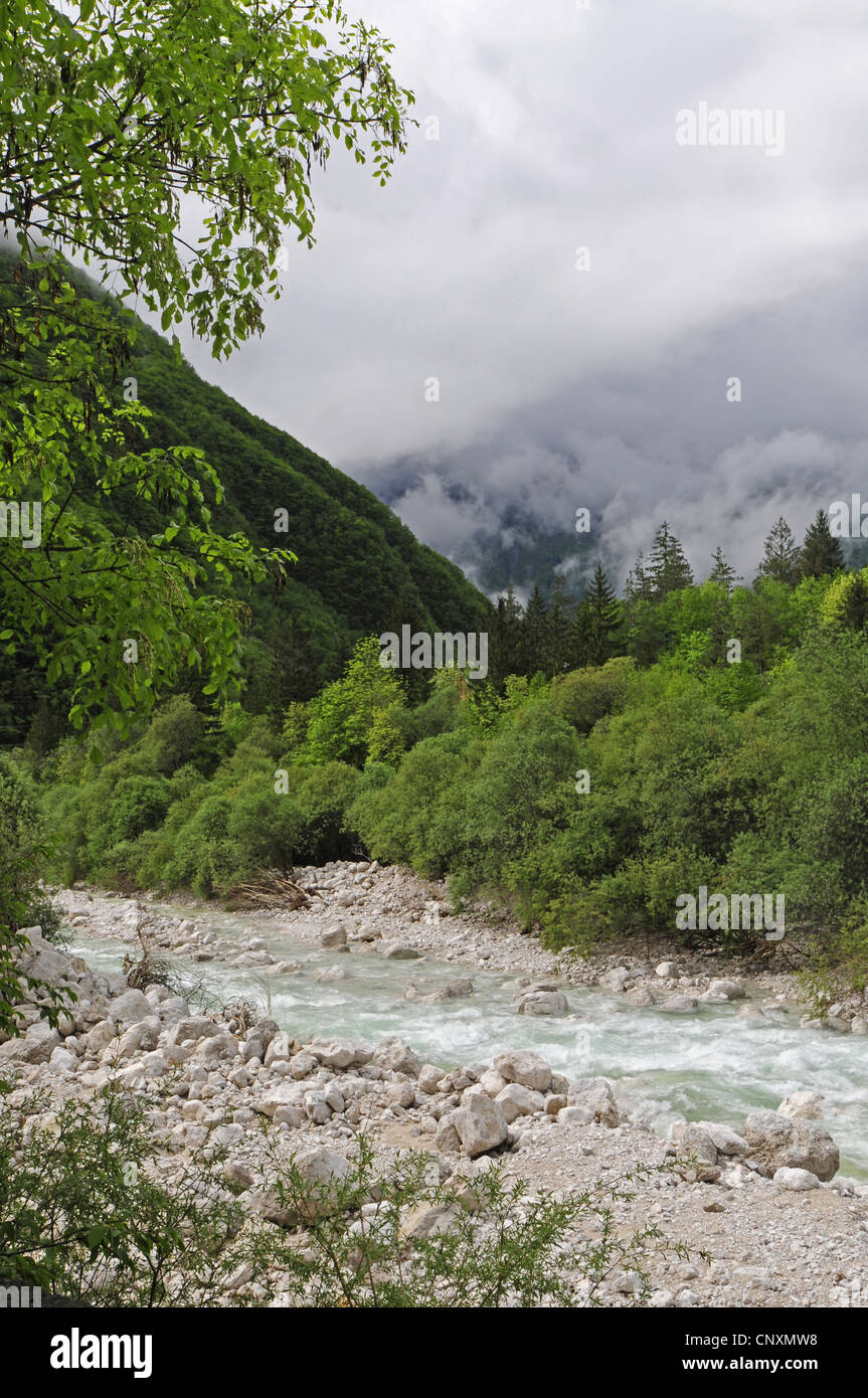 El valle del Soca con profunda nubes, Eslovenia, Soca-Tal Foto de stock