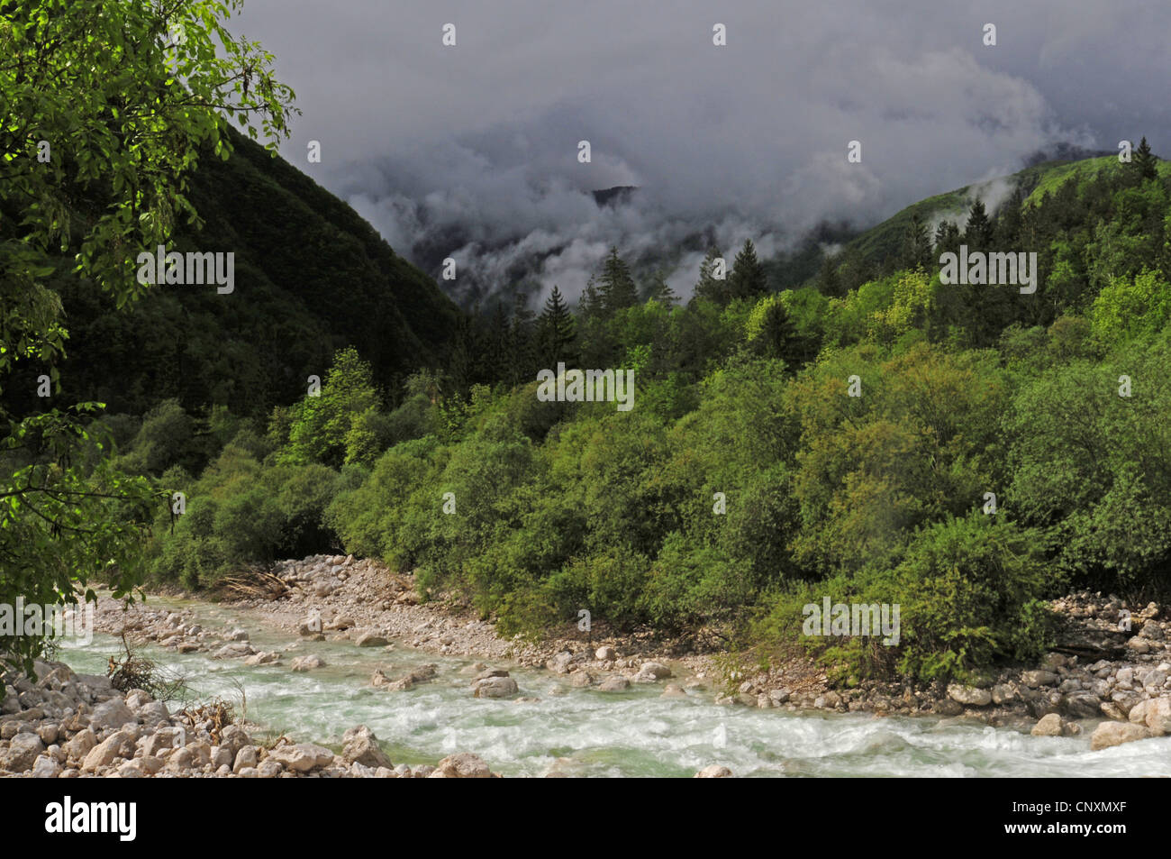 El valle del Soca con profunda nubes, Eslovenia, Soca-Tal Foto de stock