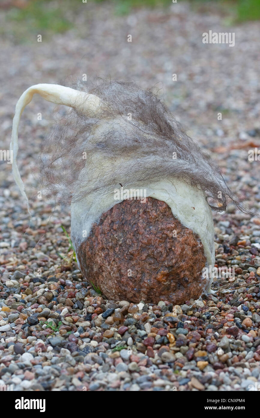 "Sentí la piedra troll' sirve como decoración de jardines: piedra natural equipados con tapas de lana de fieltro está de pie sobre el suelo de guijarros, Alemania Foto de stock