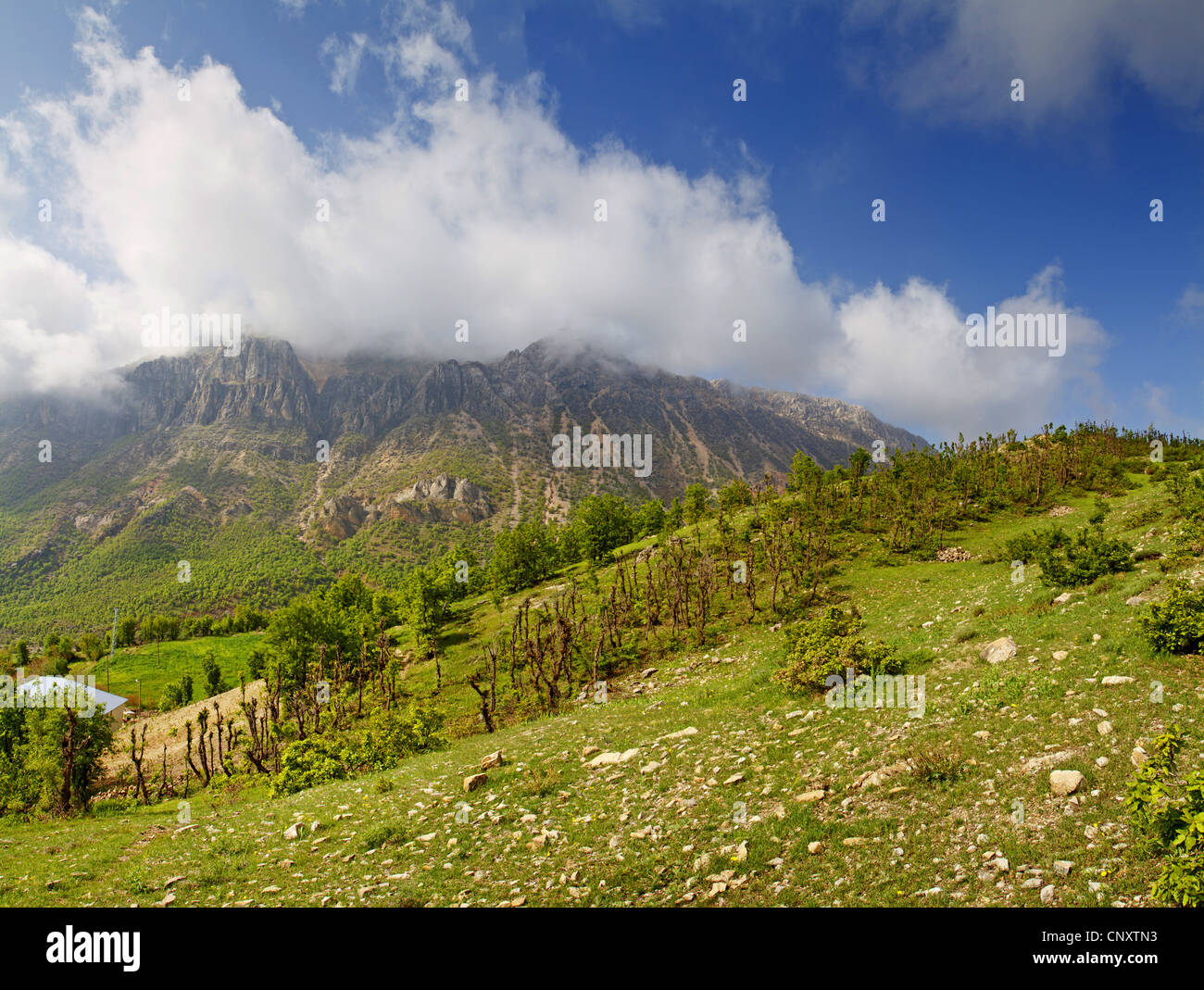 Grupo de montañas asomándose detrás de un arbusto de residuos paisaje, Turquía, Adyaman, Karadut Foto de stock