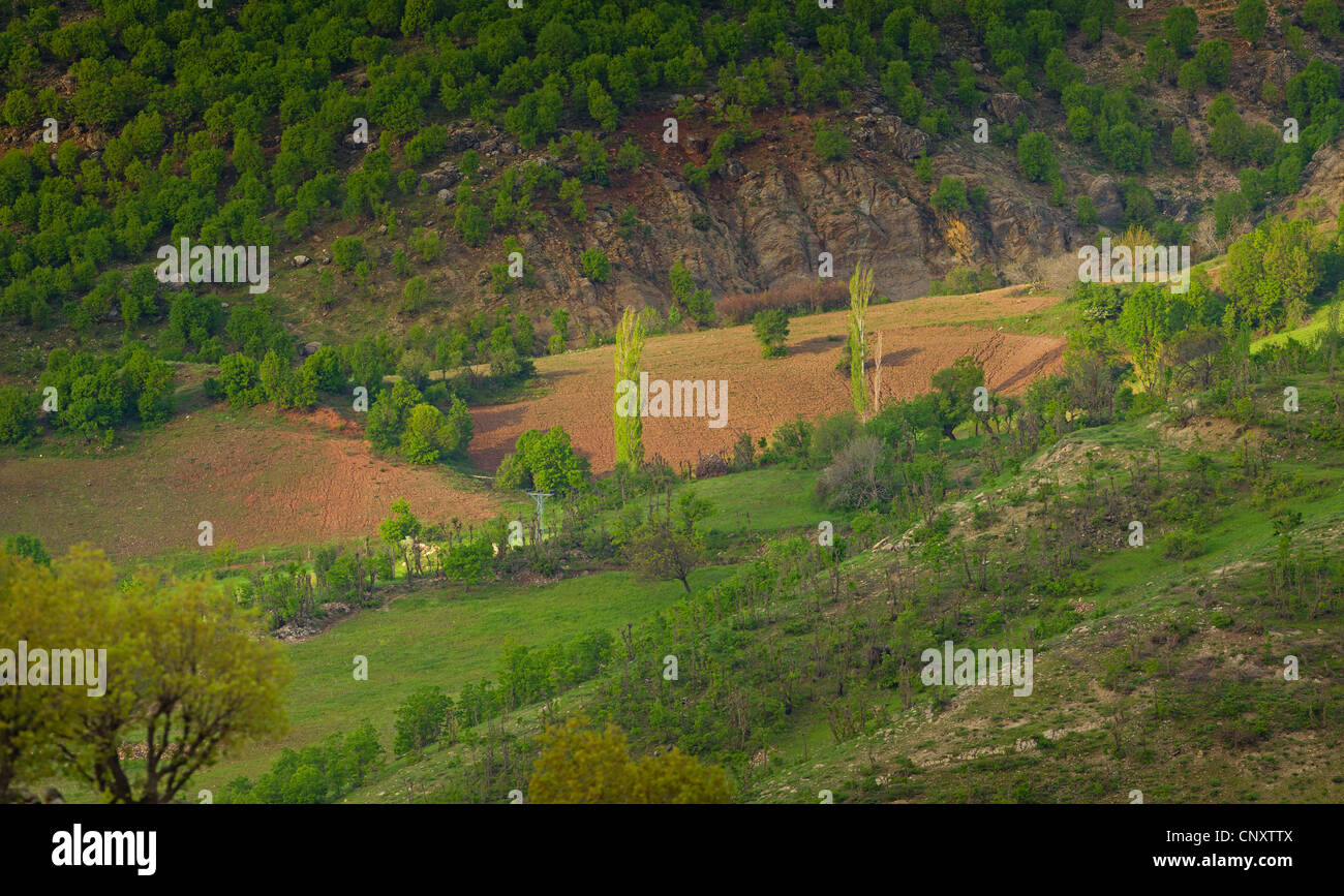 Campos en un paisaje de montaña de desechos, Turquía, Adyaman, Karadut Foto de stock