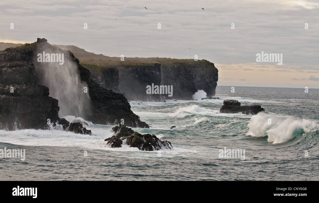 Enormes olas que rompen contra la costa rocosa, Ecuador, Islas Galápagos, Espanola Foto de stock