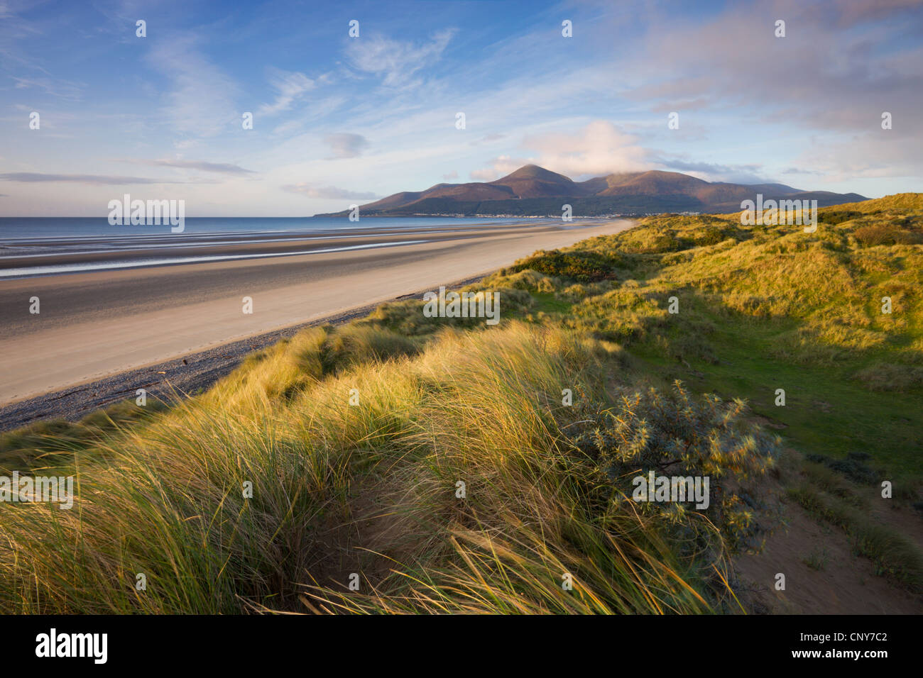 Dunas de Arena en Murlough junto a Bahía Dundrum, con las montañas de Mourne en el fondo, Condado de Down, Irlanda del Norte Foto de stock