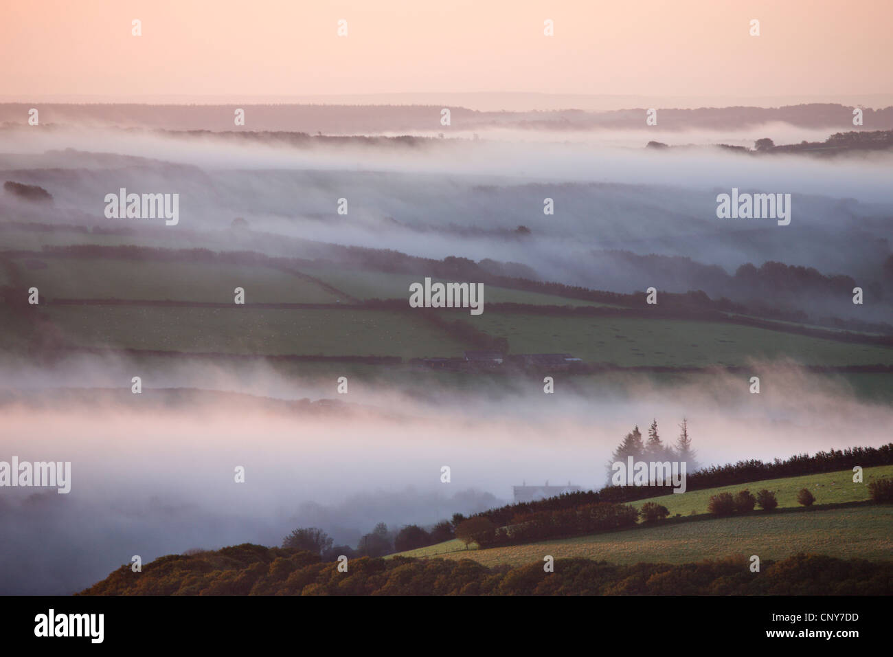 Niebla por la mañana temprano a través de la campiña de Exmoor, visto desde Dunkery Hil, Exmoor National Park, Somerset, Inglaterra Foto de stock