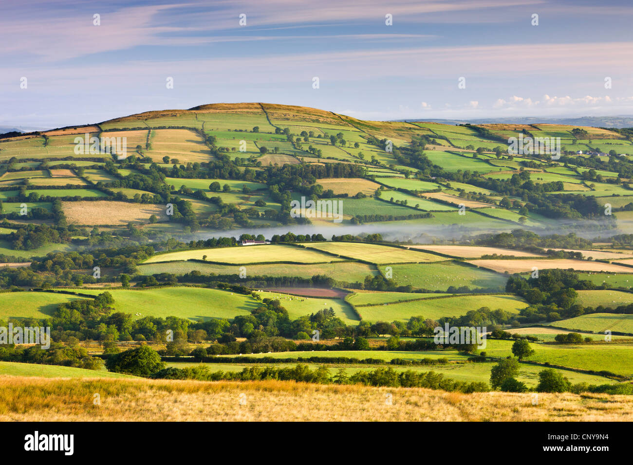 Mosaico de campos y la campiña, el Parque Nacional de Brecon Beacons, Carmarthenshire, Gales, Reino Unido. Verano (agosto 2009) Foto de stock