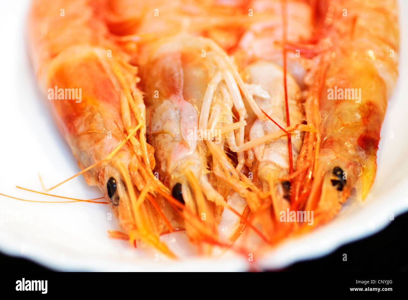 Mariscos, Comida, langostino, crustáceo, snack, cocina, naranja, fritos, preparados, ingrediente, placa, gourmet, delicioso, barbacoa, barbecu Foto de stock